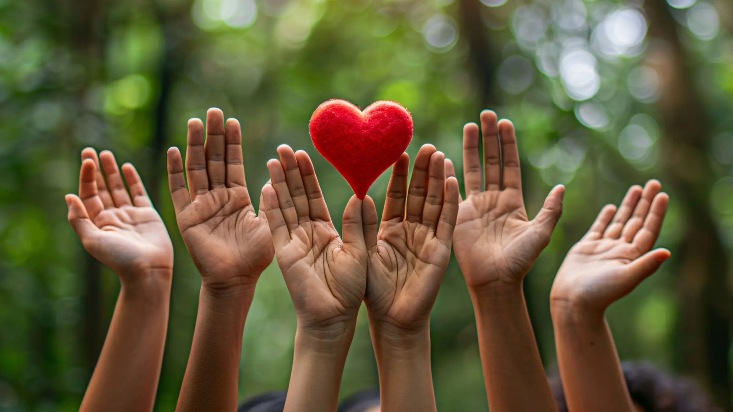 Charity