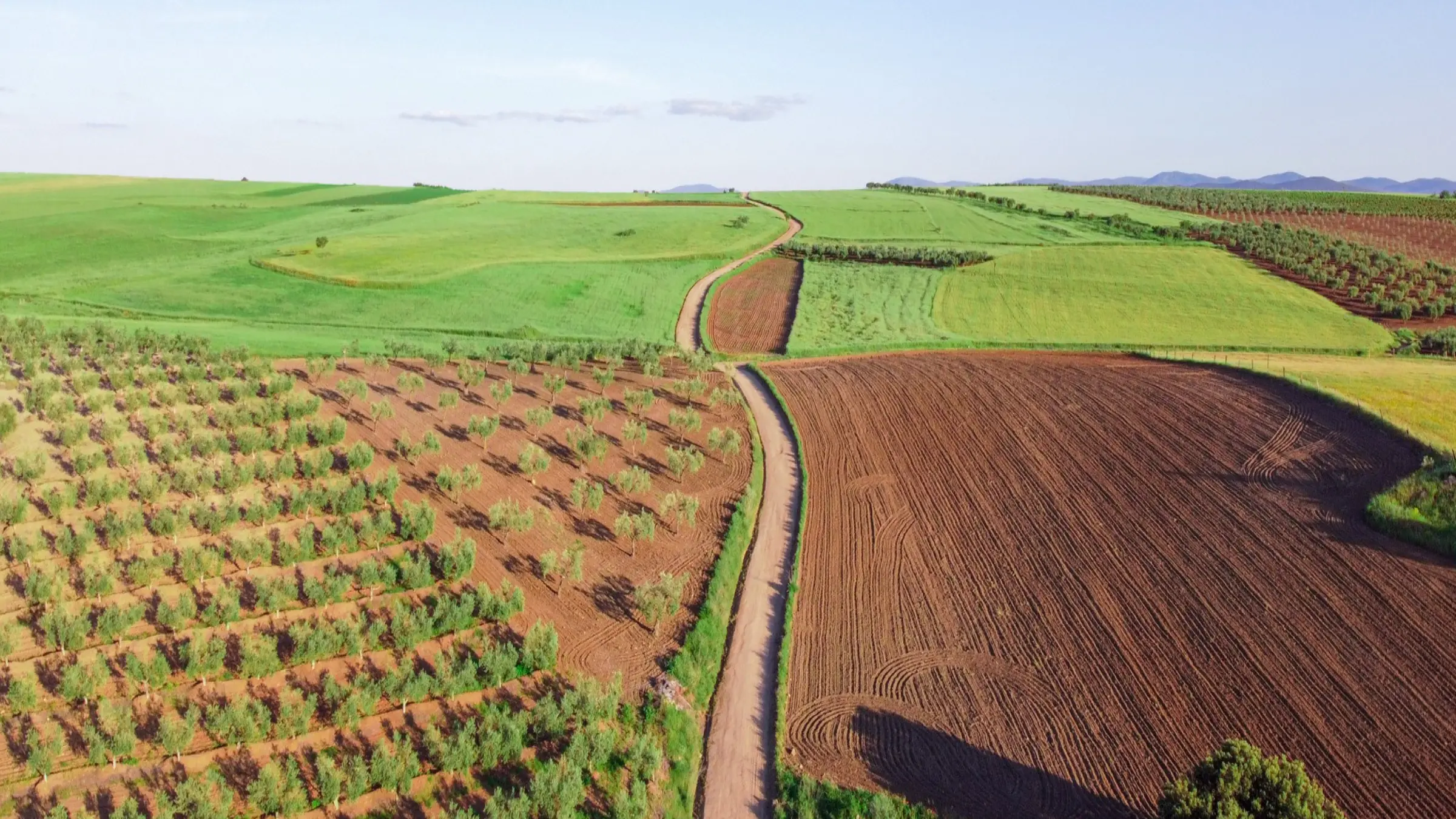 Agriculture